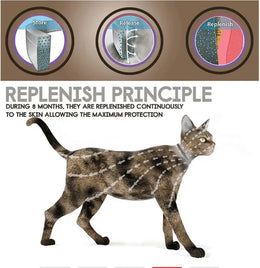 Anti Flea & Tick Collar (Ideal for Outdoor Cats & Dogs) FREE DELIVERY - Ascentstyles